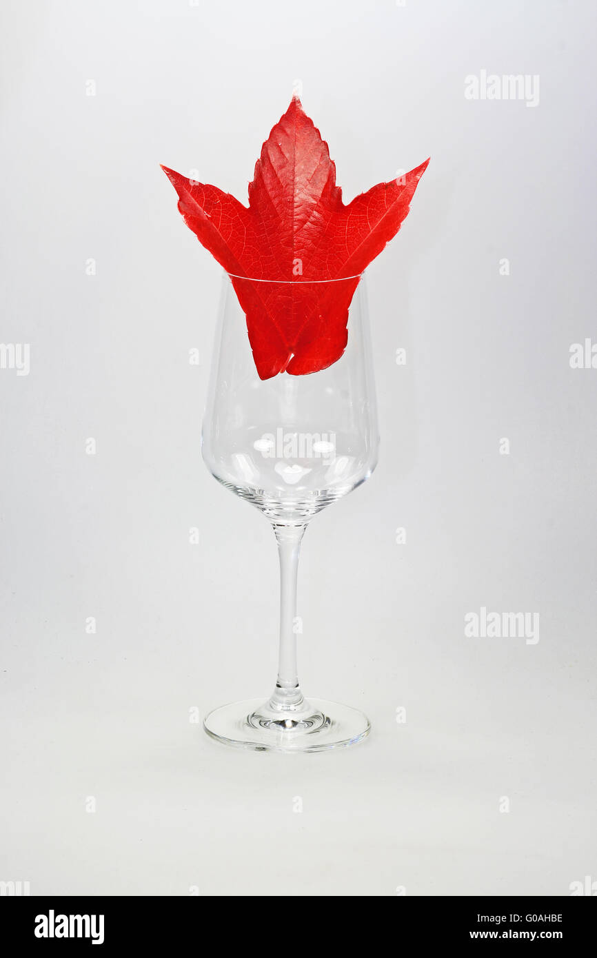 Weinglas mit Herbst Blatt Stockfoto