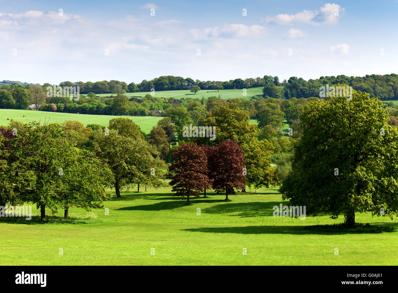 Naturlandschaft Stockfoto