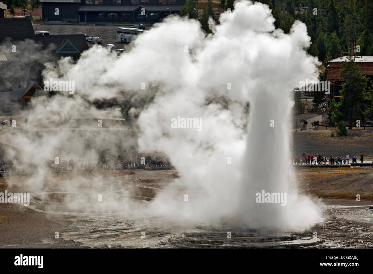 WY01598-00... WYOMING - Old Faithful Geysir aus Beobachtungspunkt in Upper Geyser Basin des Yellowstone-Nationalparks. Stockfoto