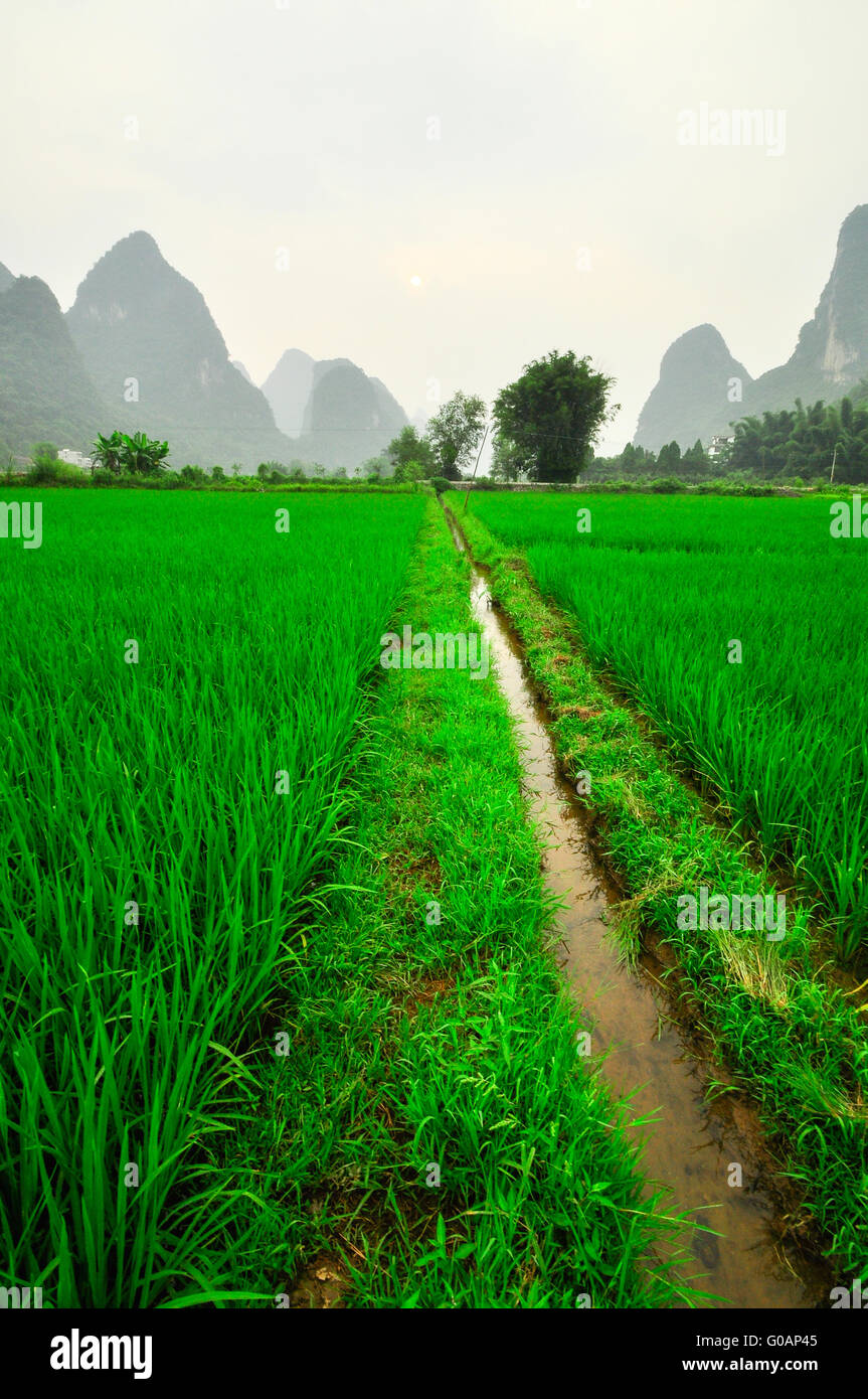 Li Fluss Berglandschaft in Yangshuo-Guilin Stockfoto