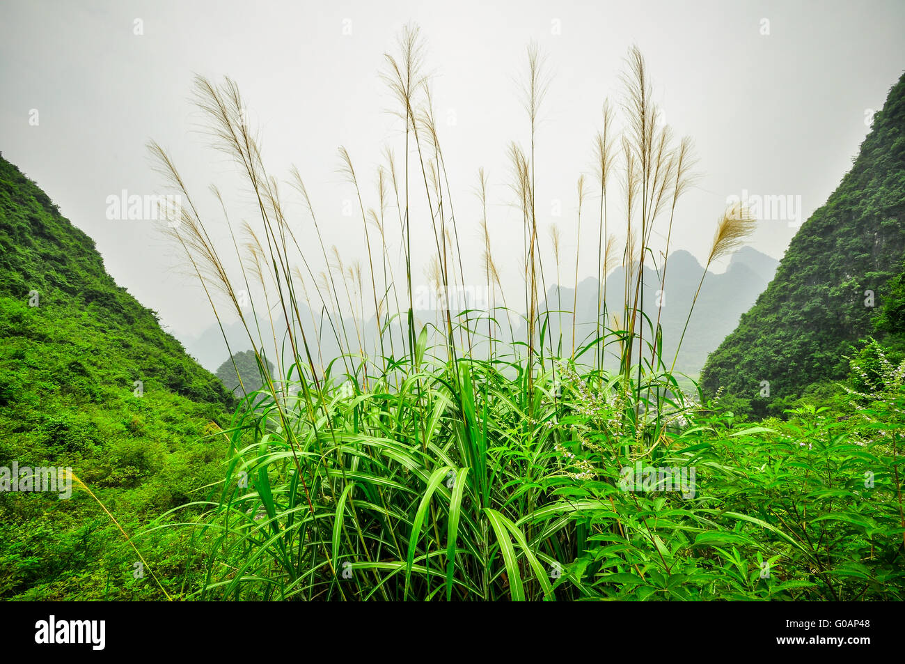 Li Fluss Berglandschaft in Yangshuo-Guilin Stockfoto