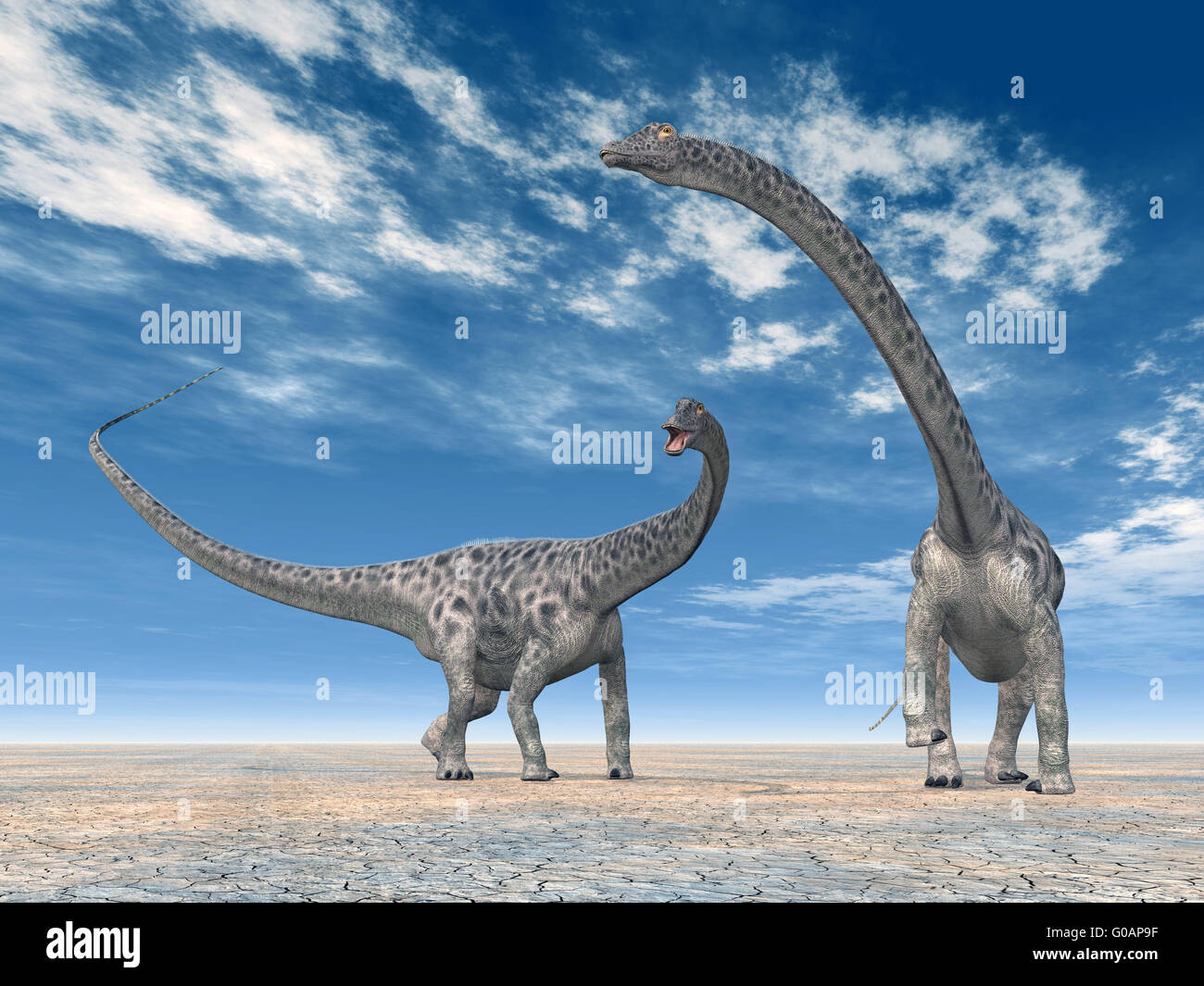 Dinosaurier Diplodocus Stockfoto