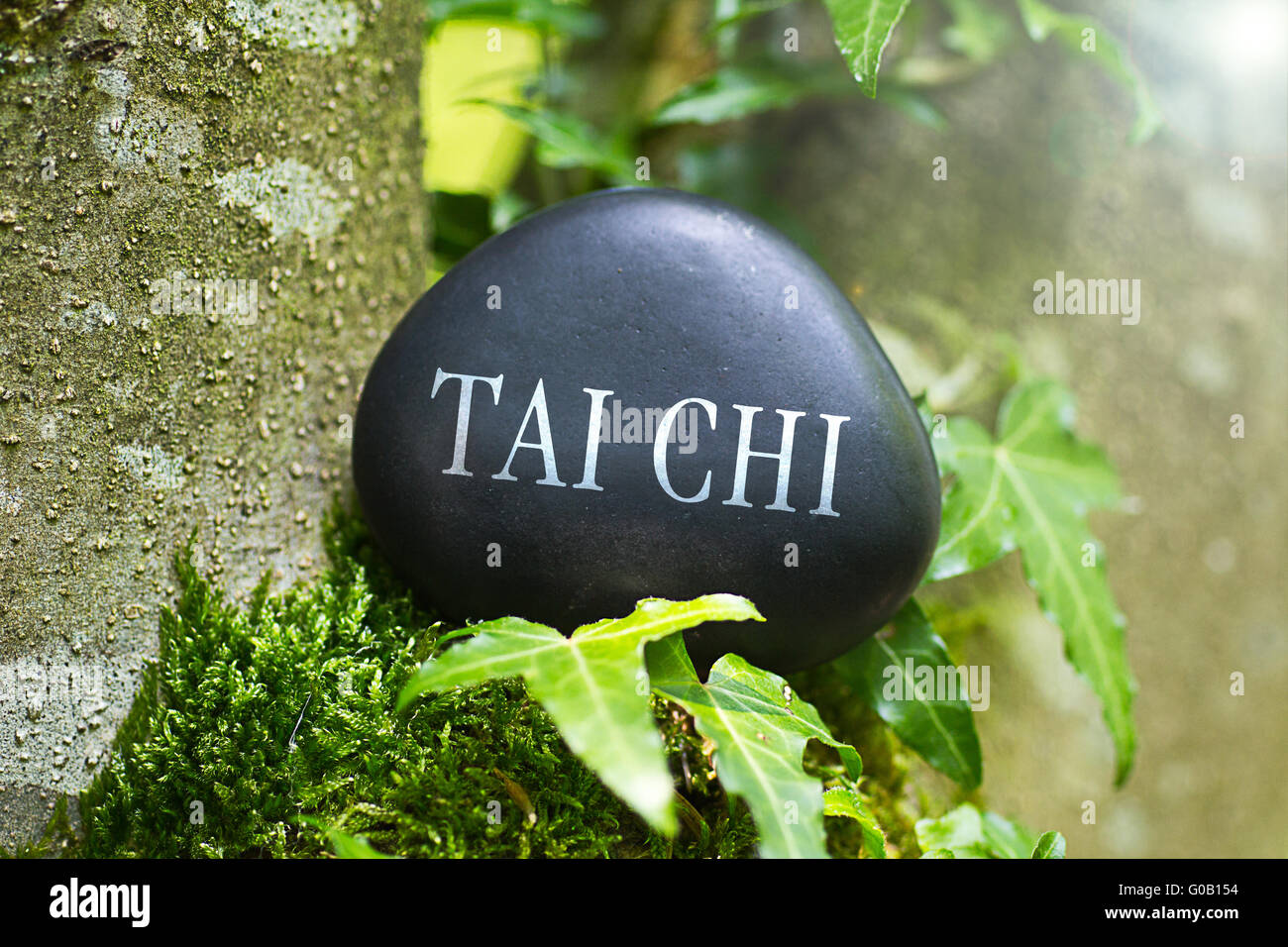 Das Wort "Tai Chi" auf einem Stein in der Natur Stockfoto