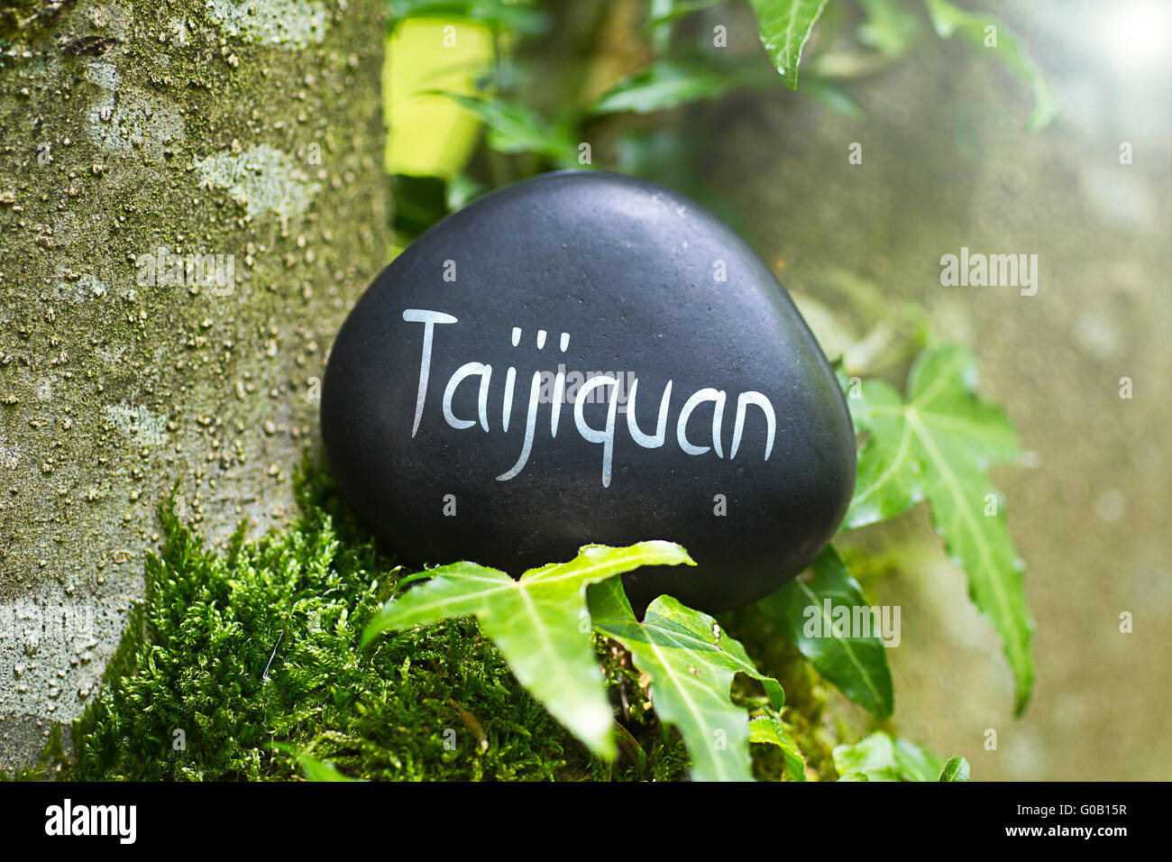 Das Wort "Taijiquan" auf einem Stein in der Natur Stockfoto