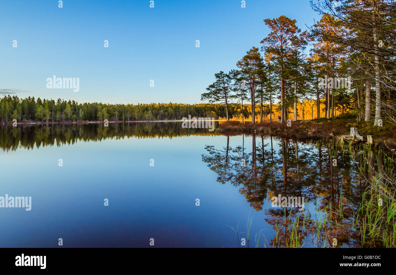 Schwedischen Abend Stockfoto