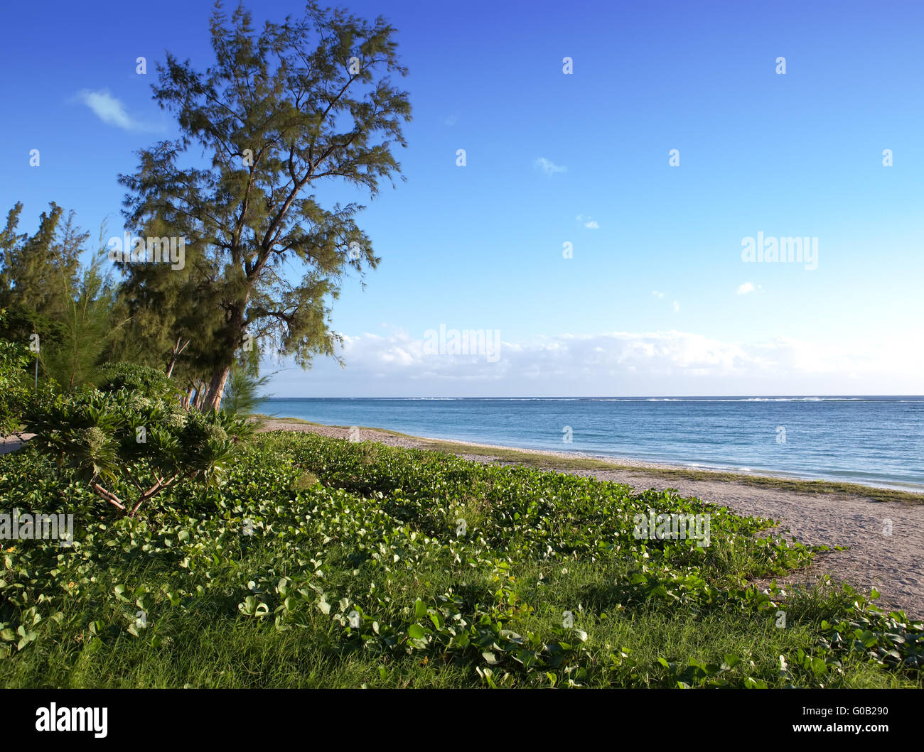 Strand in einem Randbereich der tropischen Natur. Mauritiu Stockfoto