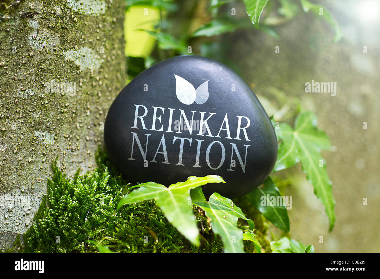 Das Wort "Reinkarnation" auf einem Stein in der Natur Stockfoto