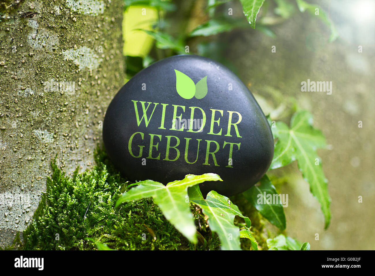 Das Wort "Wiedergeburt" auf einem Stein in der Natur Stockfoto