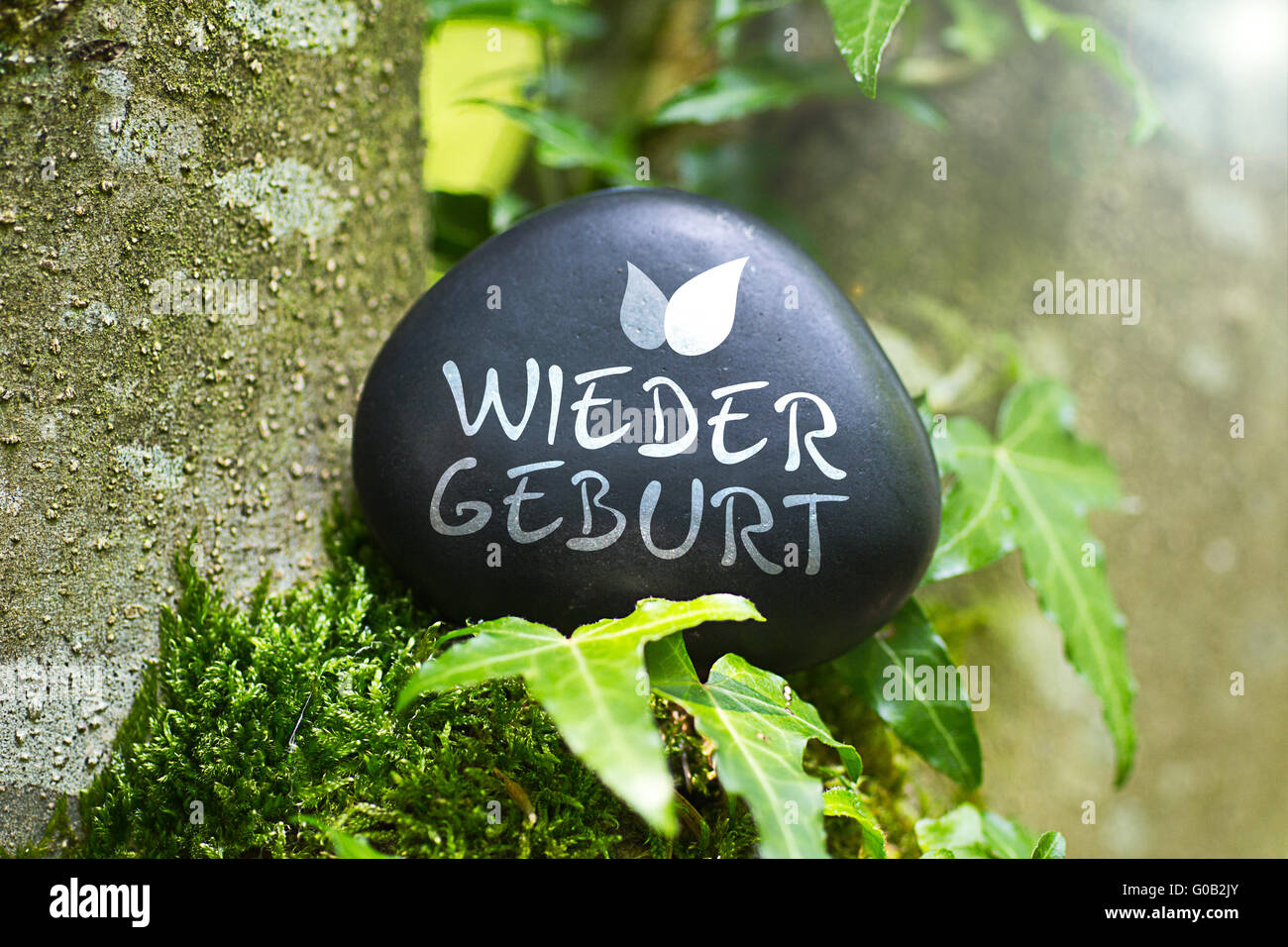 Das Wort "Wiedergeburt" auf einem Stein in der Natur Stockfoto