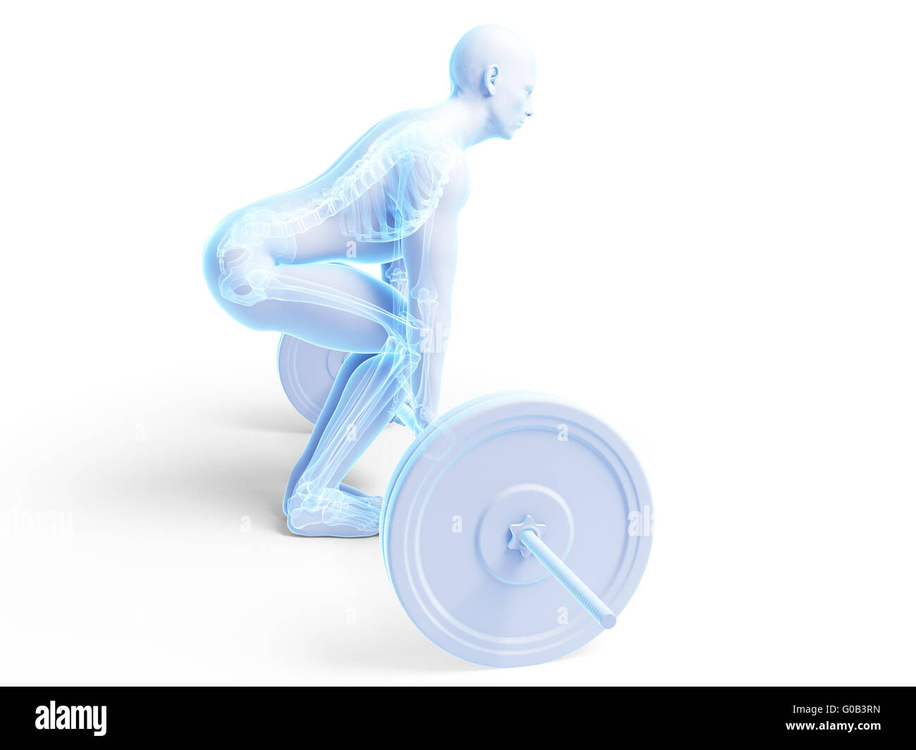 3D gerenderten medizinische Illustration - anhebende Körperhaltung Stockfoto