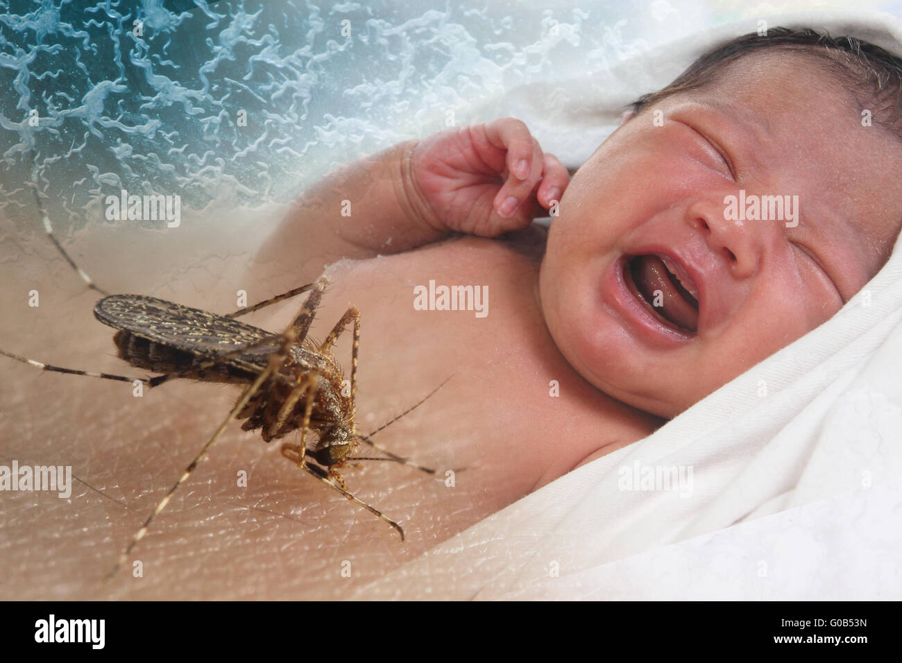 Konzept der Gesundheit Problem, Bild schreiendes Baby gebissen von Aedes Aegypti Mücke als Zika-Virus-Träger Stockfoto