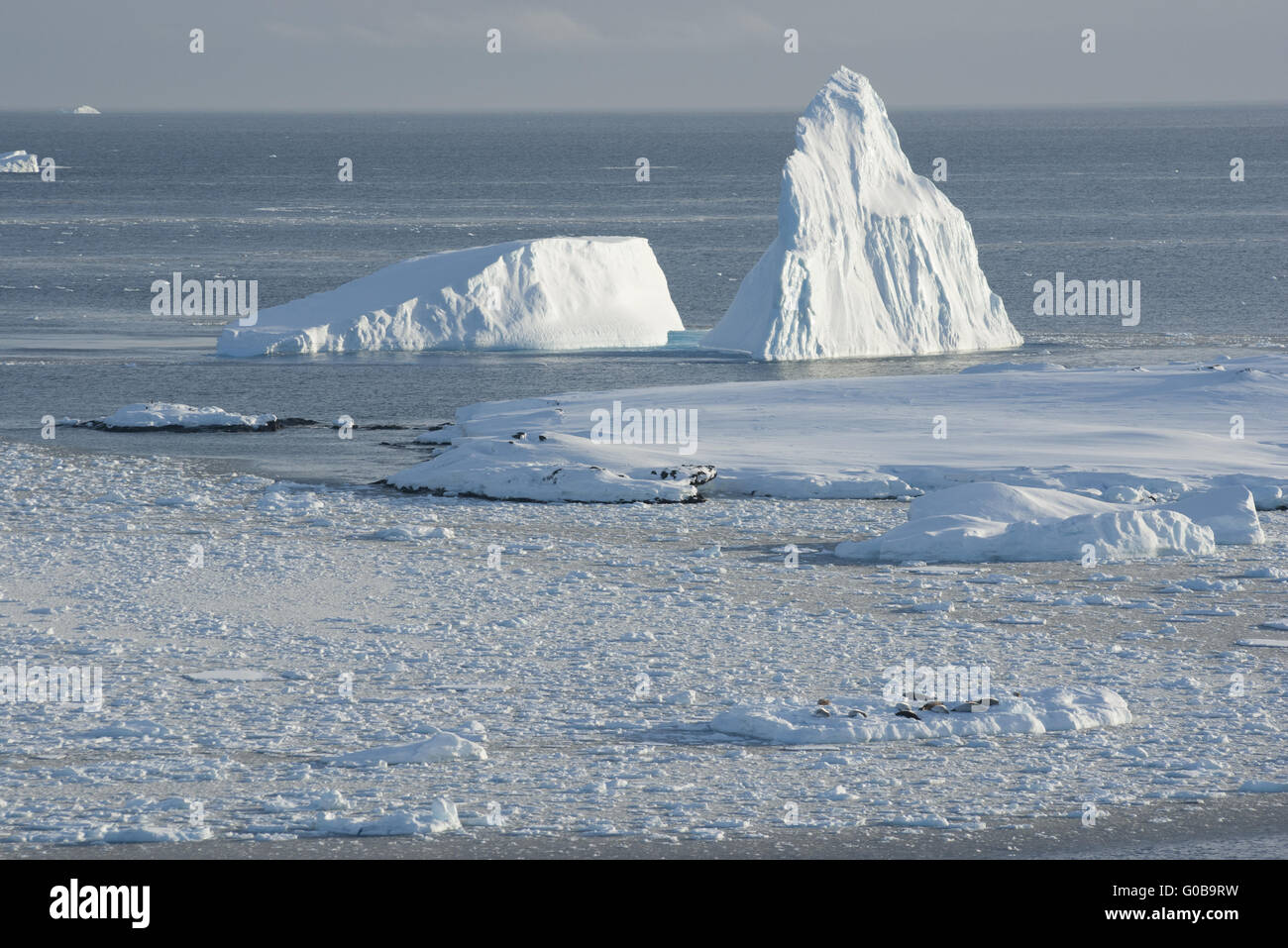 Eisberge in der Nähe von der Insel. Stockfoto
