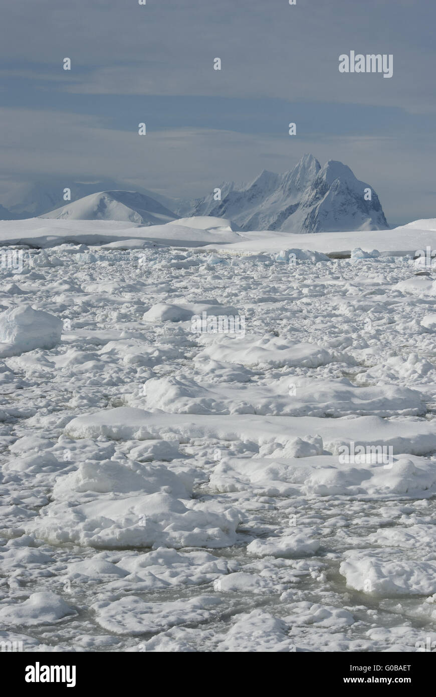 Die Berge der Antarktis. Stockfoto
