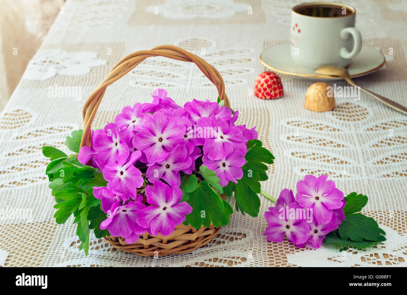 Wattled Korb mit blühenden Veilchen auf einem Tisch. Stockfoto
