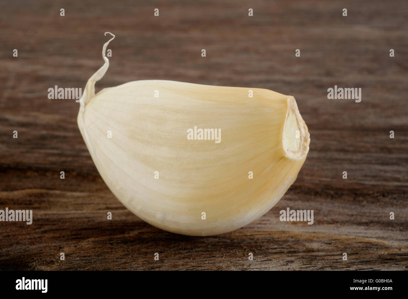 Knoblauchzehe Stockfoto