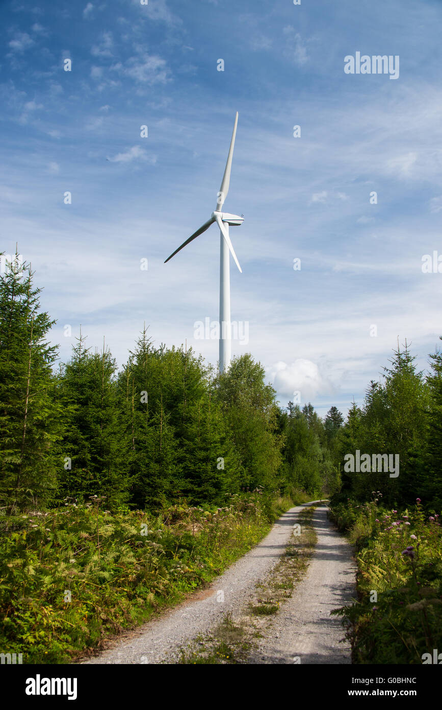 Wind-Motor im Wald Stockfoto