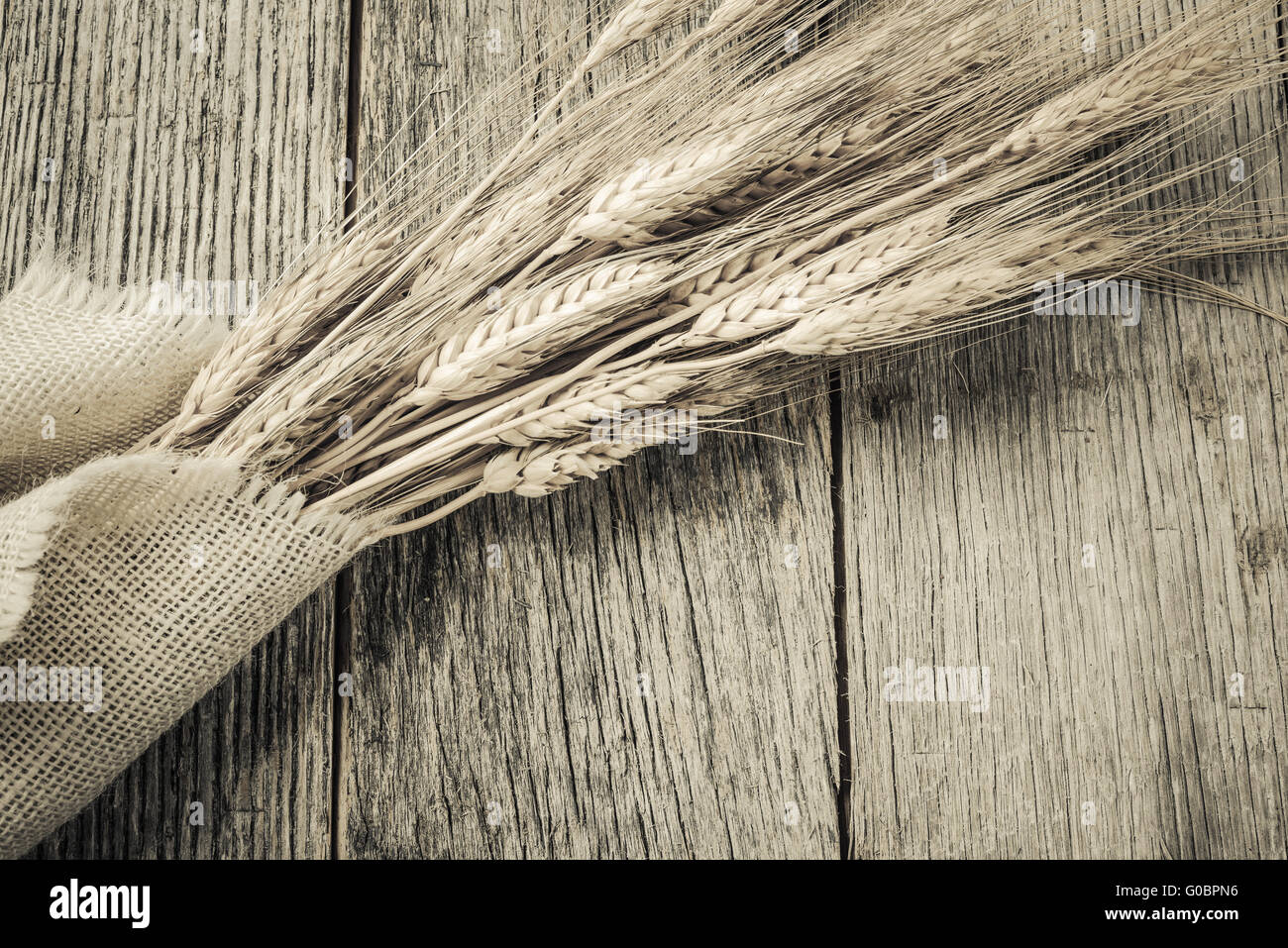 Ähren über rustikale Holz und Sackleinen Hintergrund Stockfoto