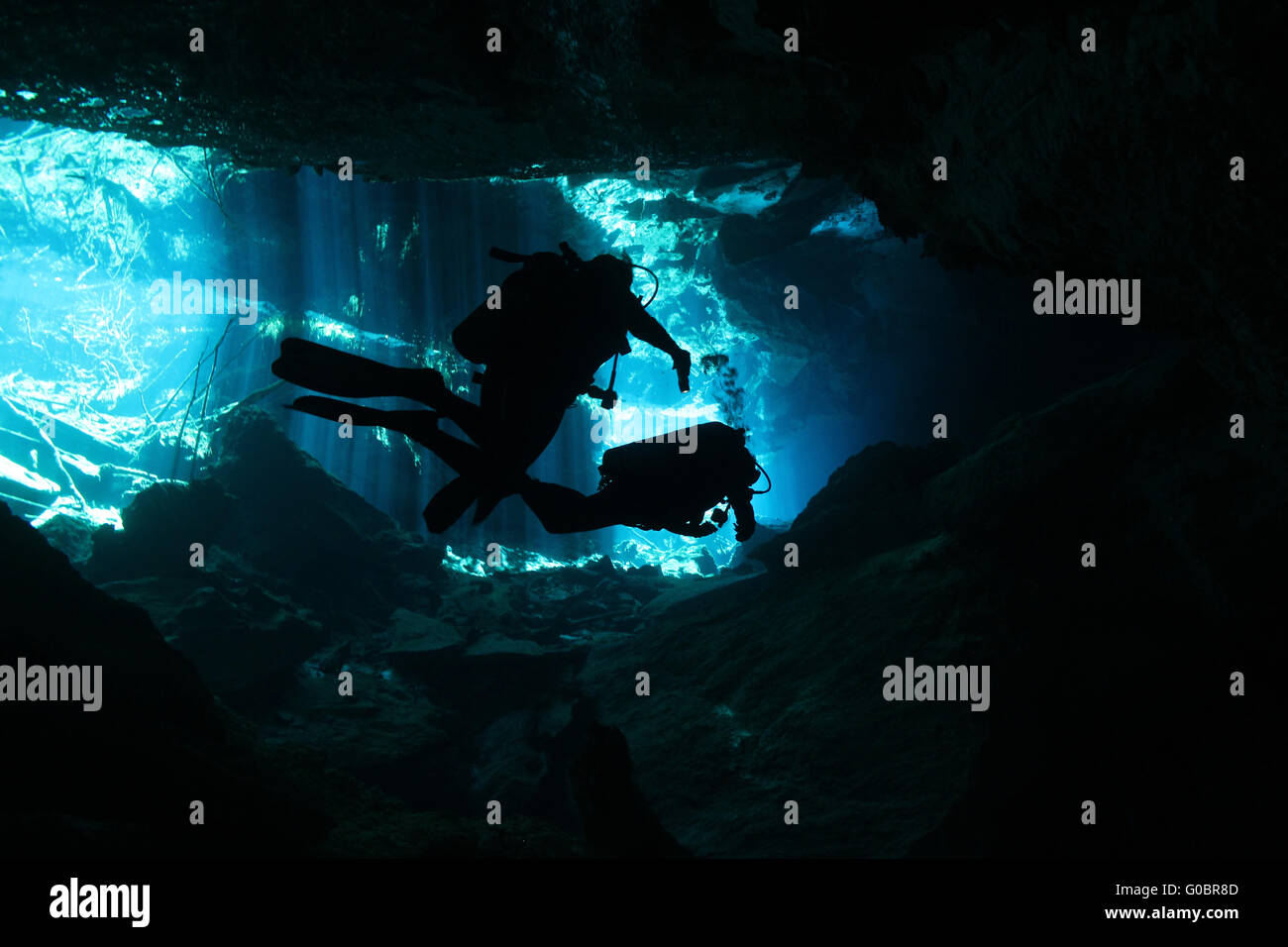 Cenote Tauchen Stockfoto