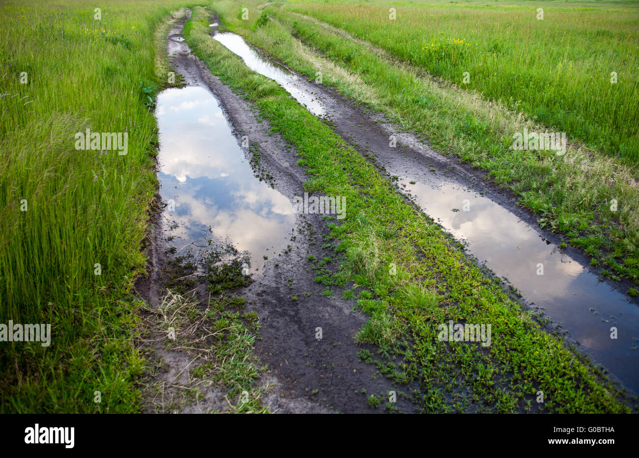 Feldweg mit Pfützen auf der grünen Wiese Stockfoto