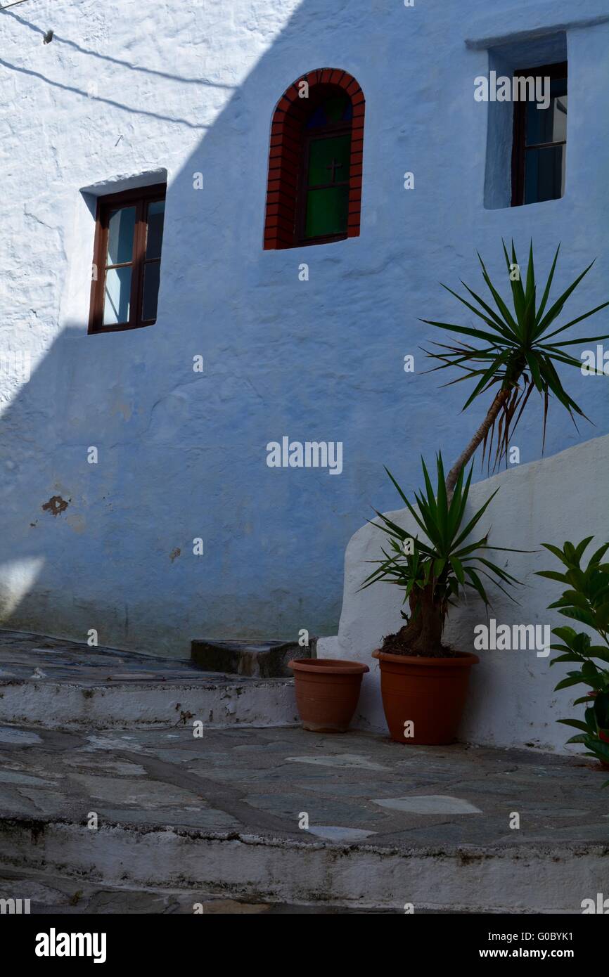 Yucca-Pflanzen im Schatten auf einer Straße in Skopelos-Stadt, Skopelos, Griechenland Stockfoto