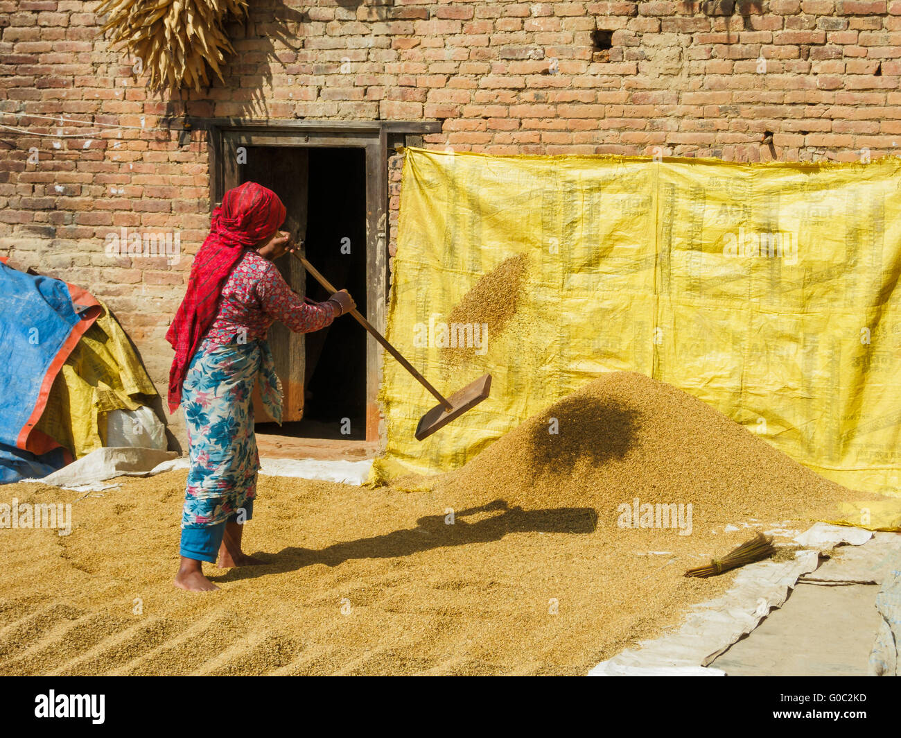 Frau Schaufeln Reis in Bungamati, Nepal Stockfoto