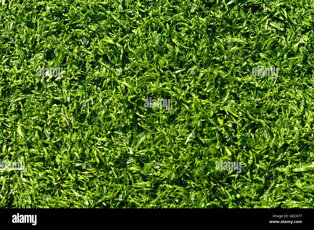 Gefälschte Grass verwendet auf Sportplätzen für Fußball, Baseball, Golf und Fußball Stockfoto
