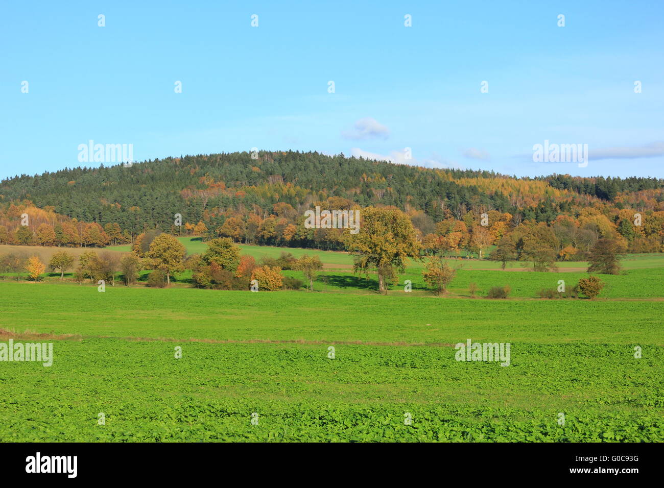 Herbstliche Landschaft Stockfoto