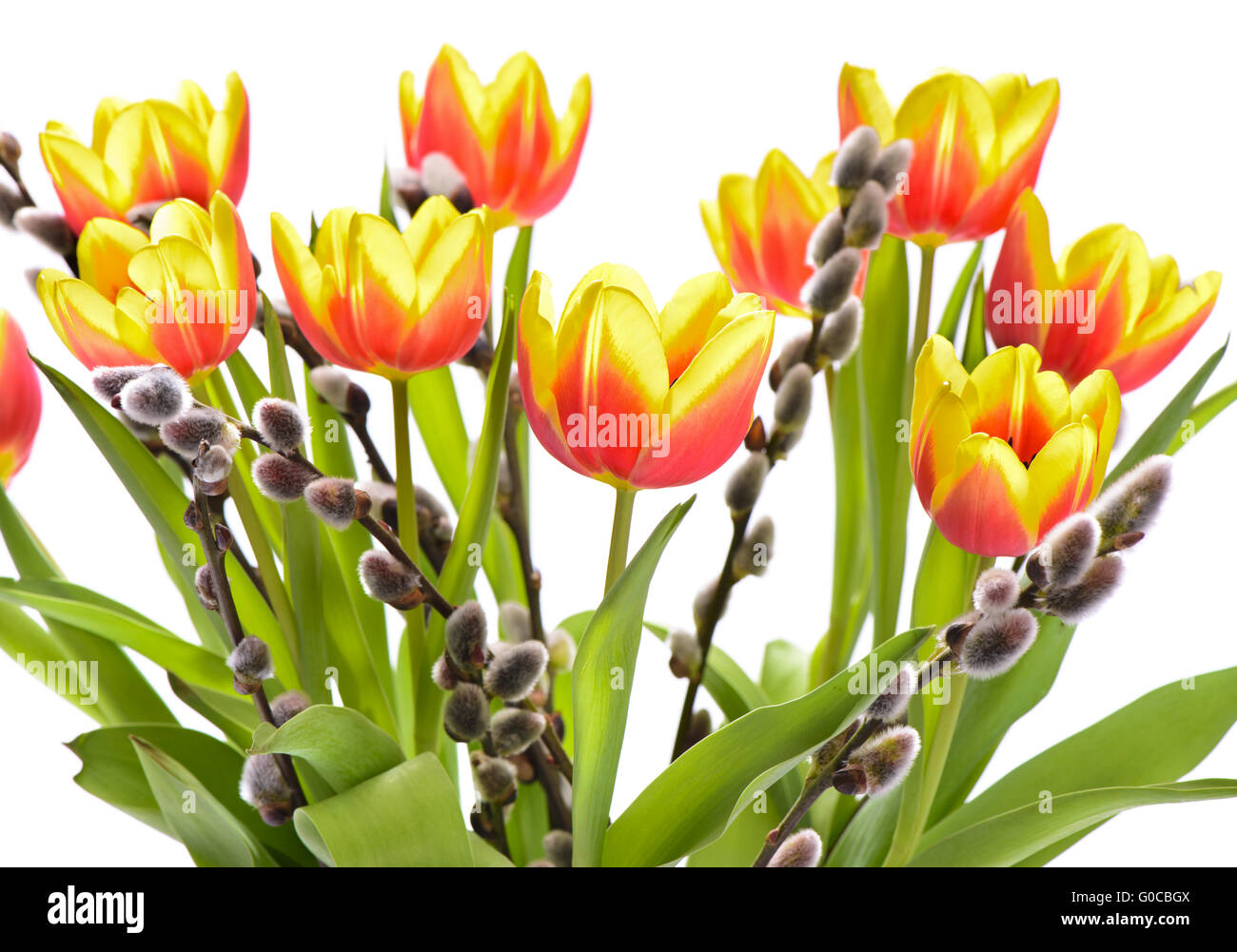Blumenstrauß Ostern Tulpe Stockfoto