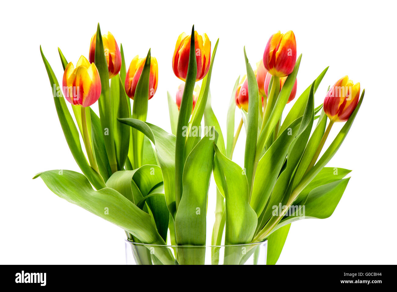 Blumenstrauß Ostern Tulpe Stockfoto