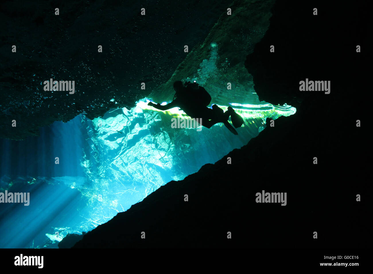 Cenote Tauchen Stockfoto
