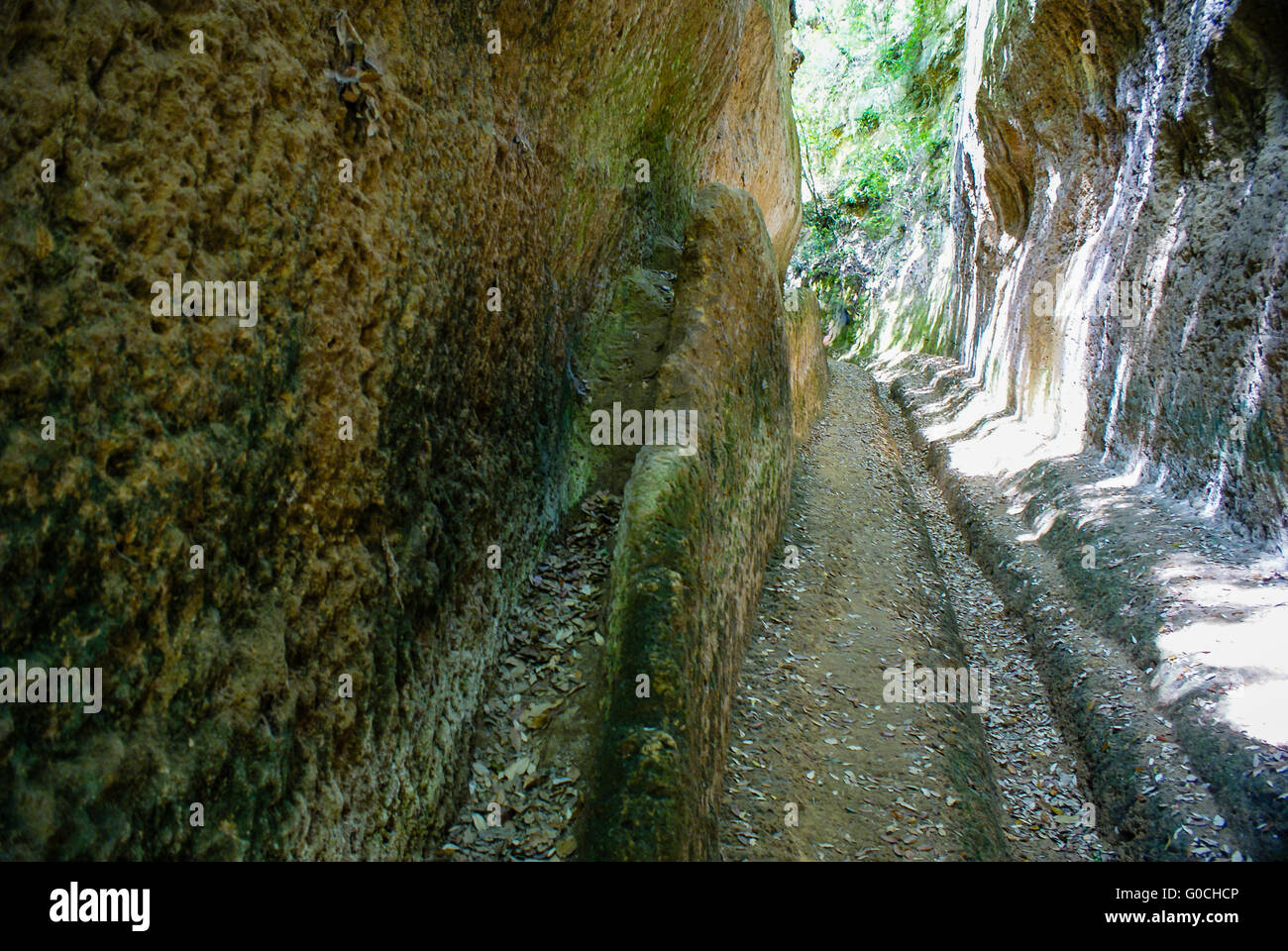 Hohler Weg (künstlich geschnittene Straße) der Etrusker Stockfoto