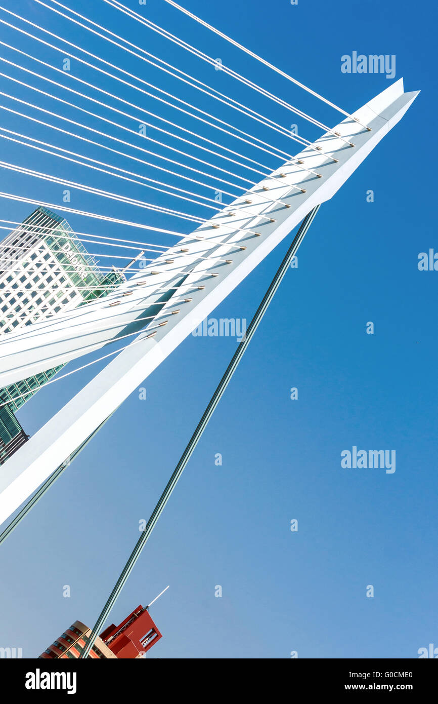 Detail der Erasmusbrücke in Rotterdam, gekippt Stockfoto