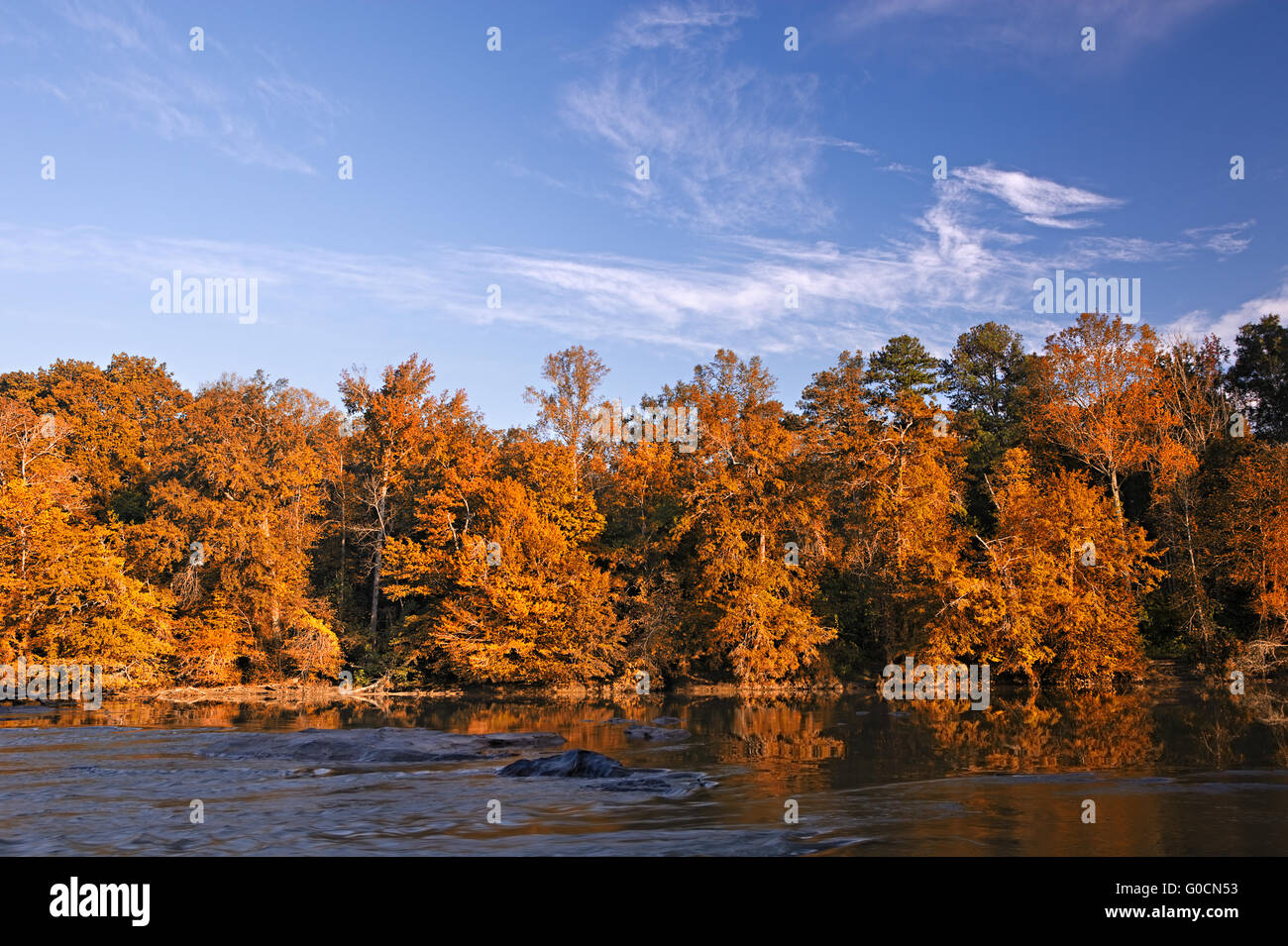 Schöne Herbst Farben Wald spiegelt sich im Fluss Stockfoto