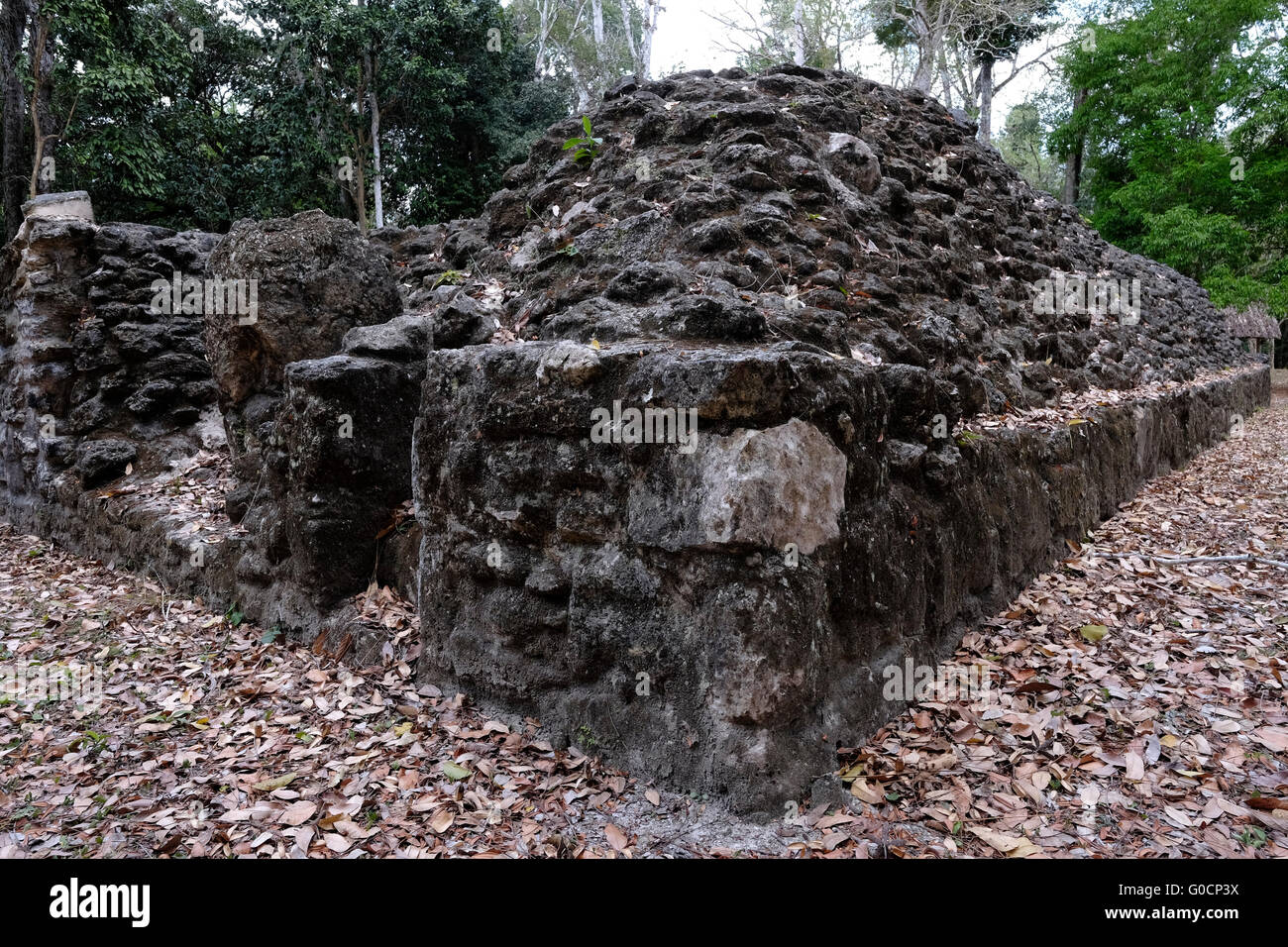 Eine antike Maya-Ruine im östlichen Teil der Yaxhá befindet sich eine archäologische Stätte der mesoamerikanischen und eine ehemalige zeremonielles Zentrum und Stadt der präkolumbischen Maya-Zivilisation am Nordufer des See Yaxha im Nordosten der Region Petén Becken. Guatemala Stockfoto