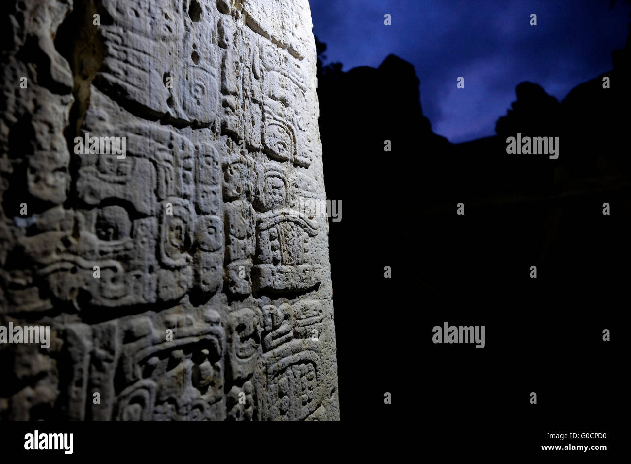 Detail eines antiken Maya-Hieroglyphenschrift oder Glyphe in eine Stele im Gran Plaza an der archäologischen Stätte von Tikal ein altes urbanes Zentrum der präkolumbischen Maya-Zivilisation befindet sich im archäologischen Bereich des Beckens im Norden Guatemalas Petén Stockfoto