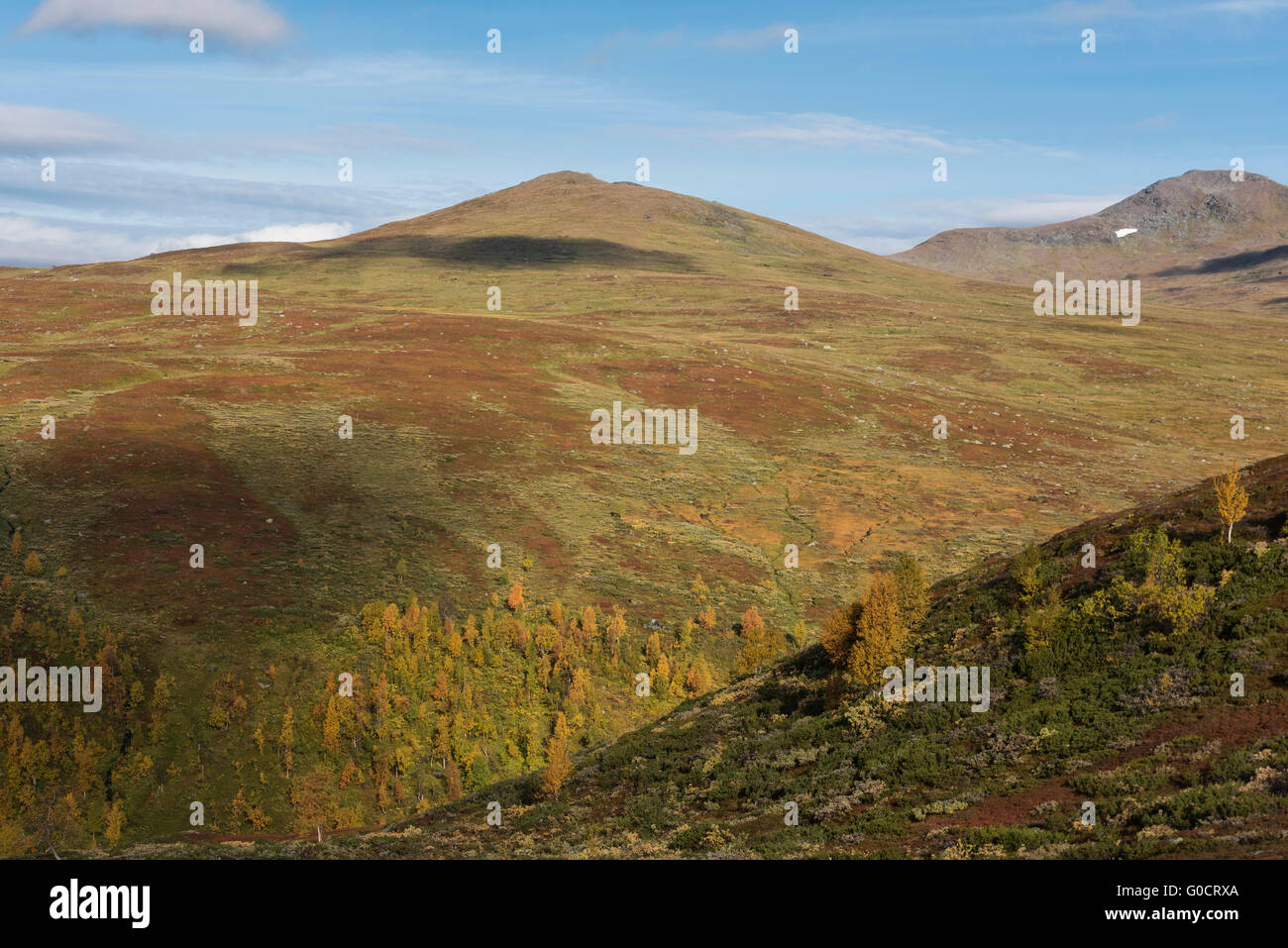 Herbstliche Berglandschaft vom Kungsleden Trail in der Nähe von Hemavan, Lappland, Schweden Stockfoto