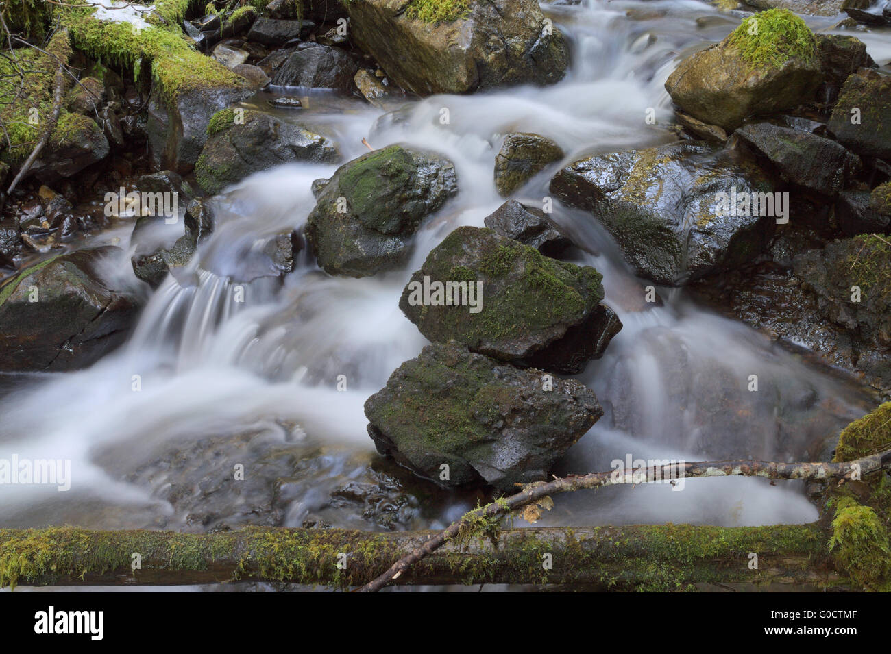 Moos bedeckt Felsen. Landschaft Stockfoto