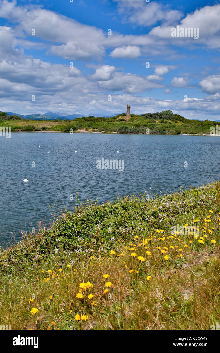 Hodbarrow; RSPB Reserve Cumbria; UK Stockfoto