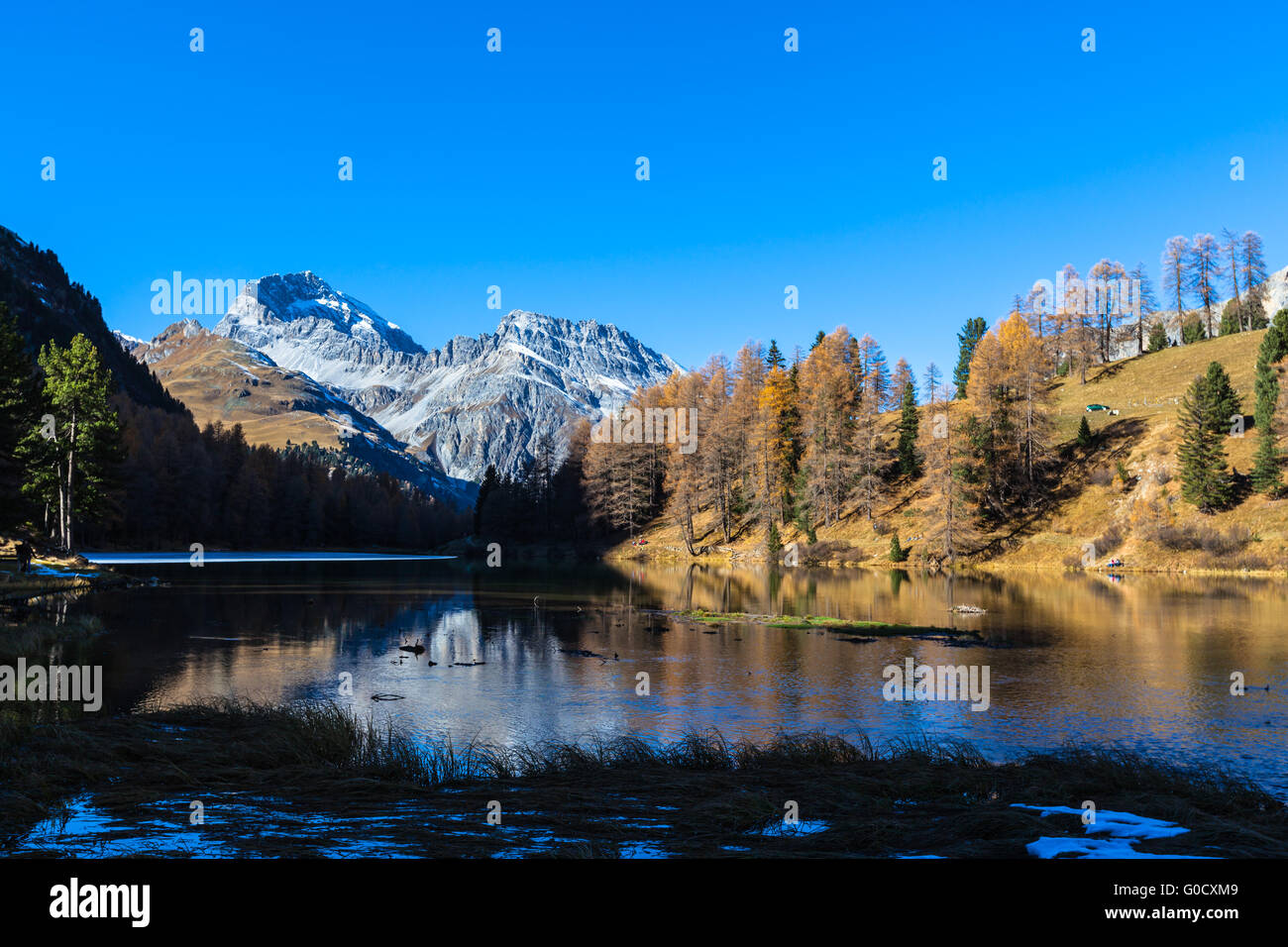 Atemberaubende Aussicht auf den Palpuogna-See mit goldenen Lärchen, die Gipfel des Piz Ela und schöne Reflexion im Herbst, Kanton Graubünden Stockfoto