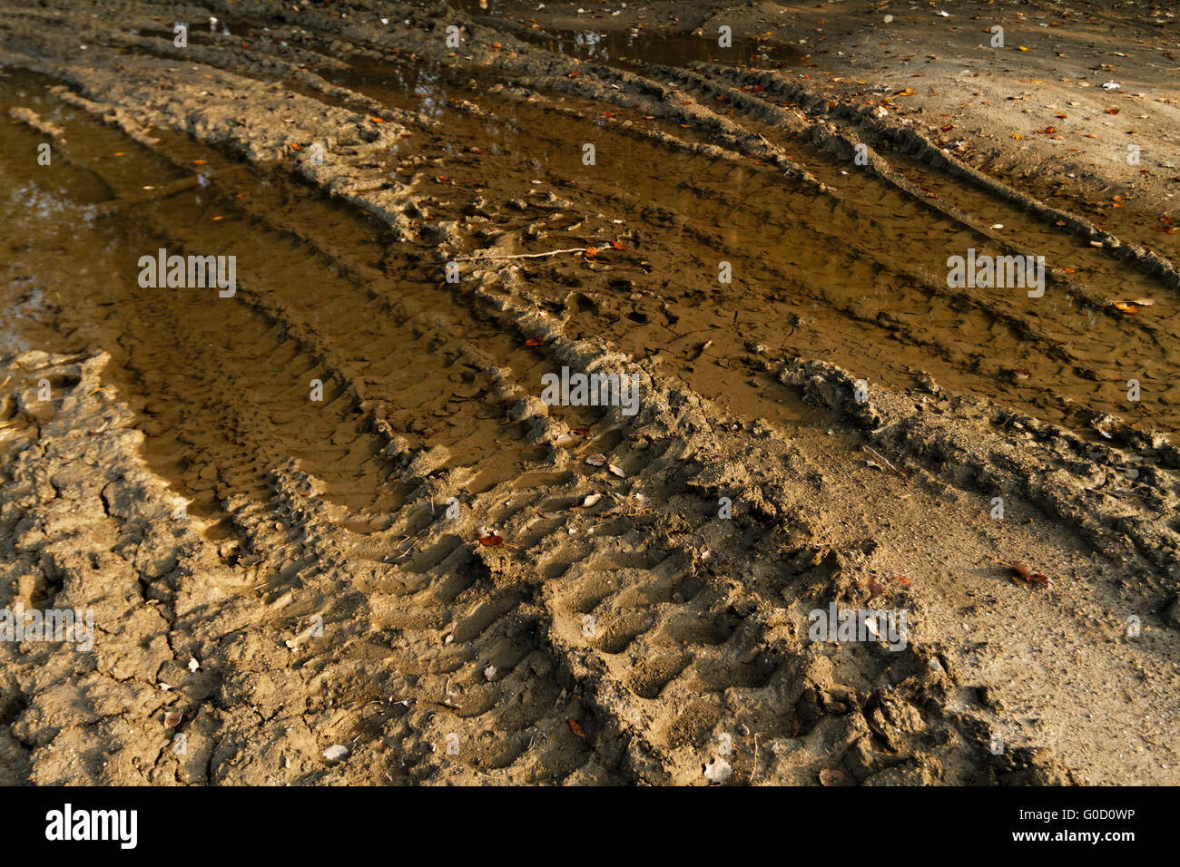 Schmutzige gebrochen Landstraße mit tiefen Reifenspuren Stockfoto