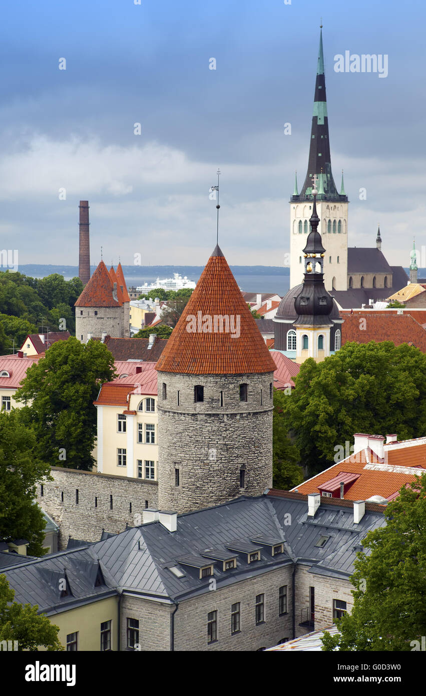Blick auf die Altstadt der Stadt Dächer. Tallinn. Estland Stockfoto