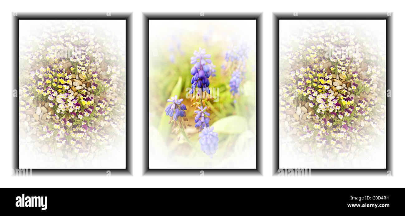 Triptychon Blumen Stockfoto
