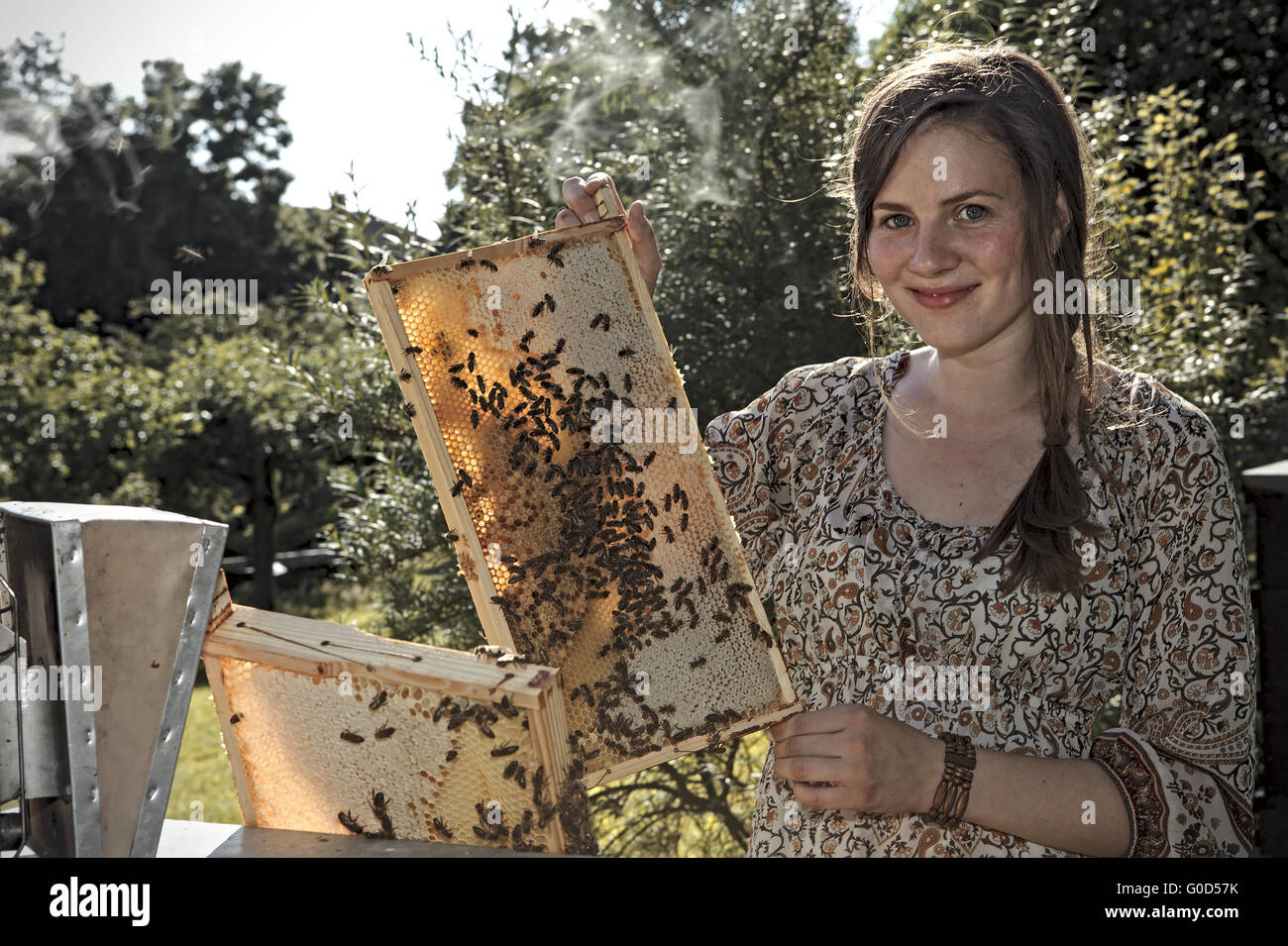 weibliche Imker mit Waben und Bienen Stockfoto