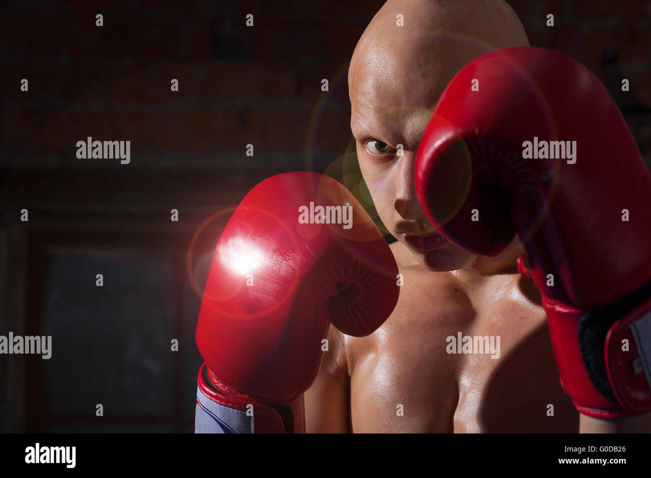 Porträt eines Boxers mit Fäusten in roten Bandagen Stockfoto