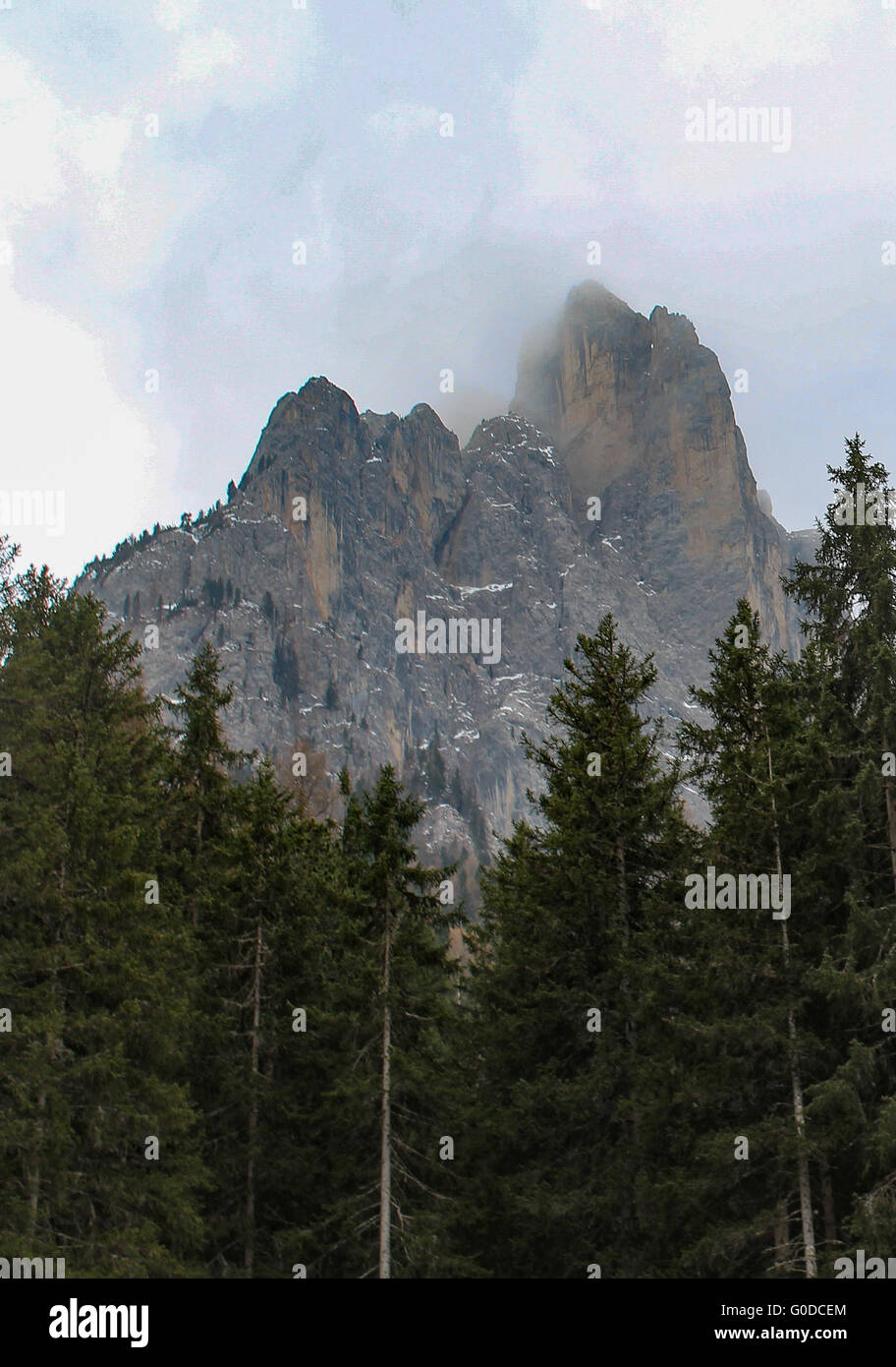 Eine Felswand, die teilweise verdeckt durch die Wolke in den italienischen Dolomiten über eine Alpine Waldbäume Stockfoto