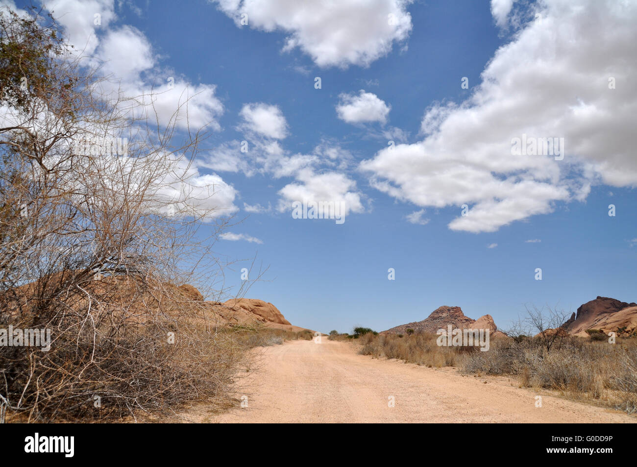 Desert Road Stockfoto