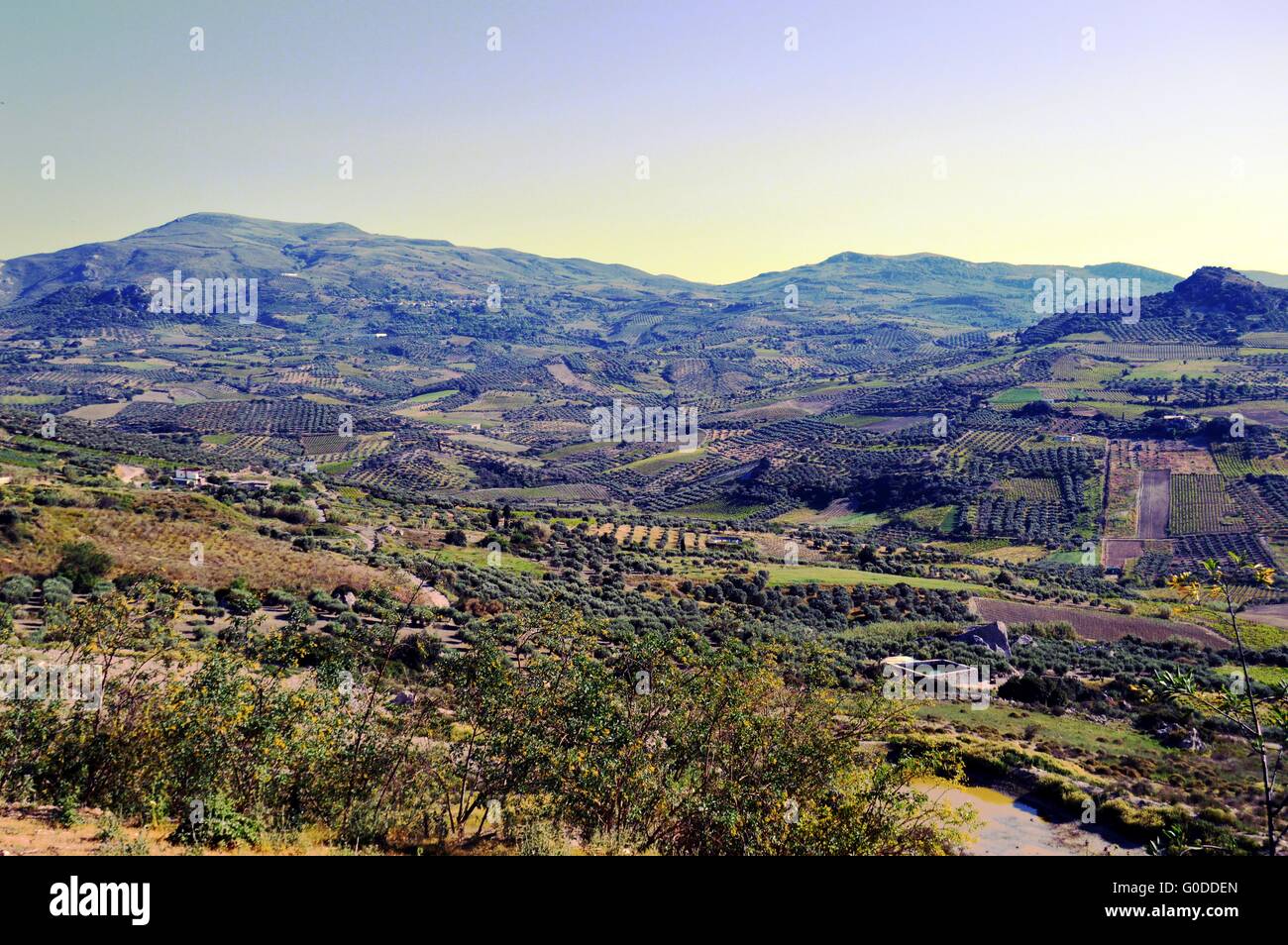 Eine Ansicht) auf eine Landschaft aus Kulturen von Olivenhainen und Weinbergen. Stockfoto