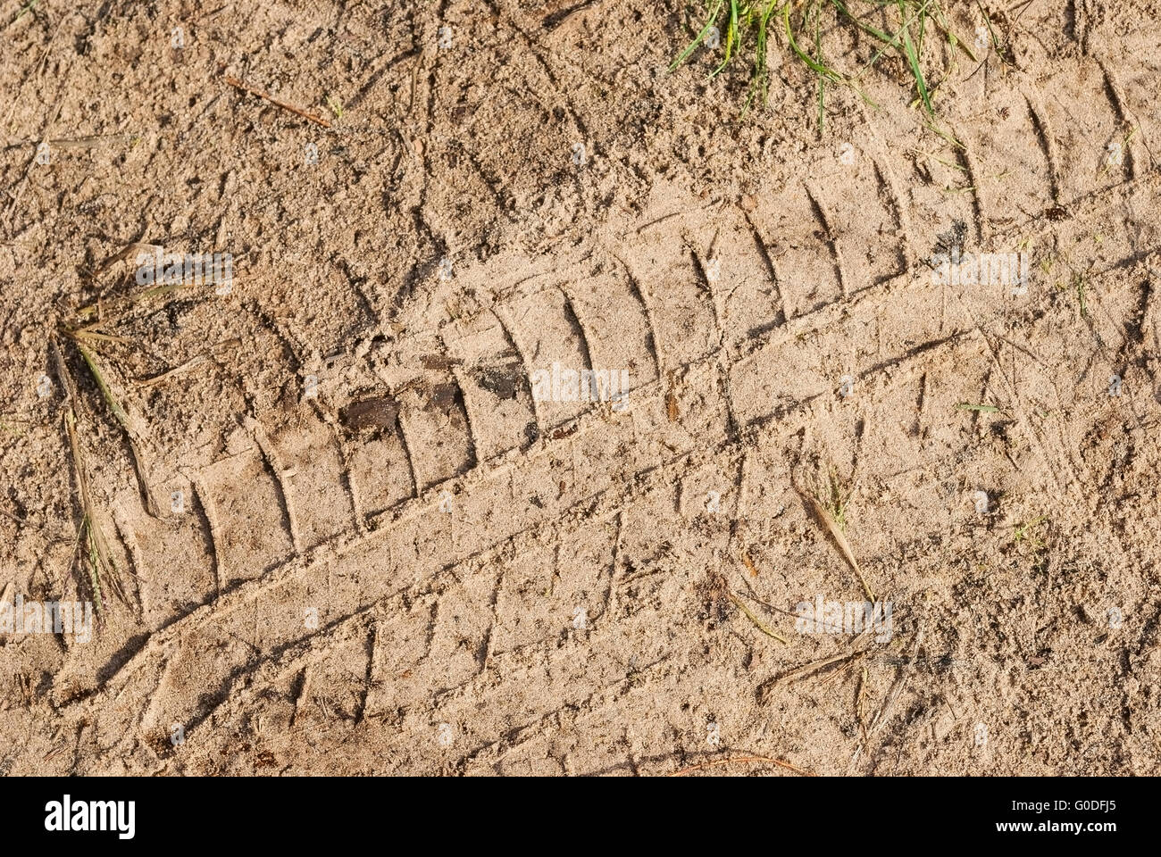 Textur. Trail-Reifen auf Risse Sand. Bodenbedeckung Stockfoto