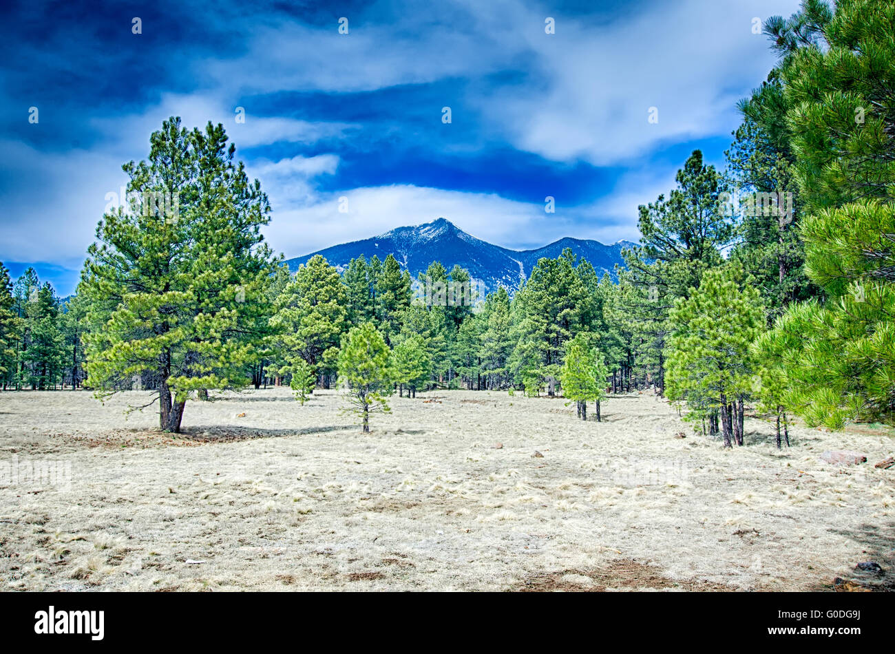 Malerische Wüstenlandschaft mit Humphreys Peak gesehen ich Stockfoto