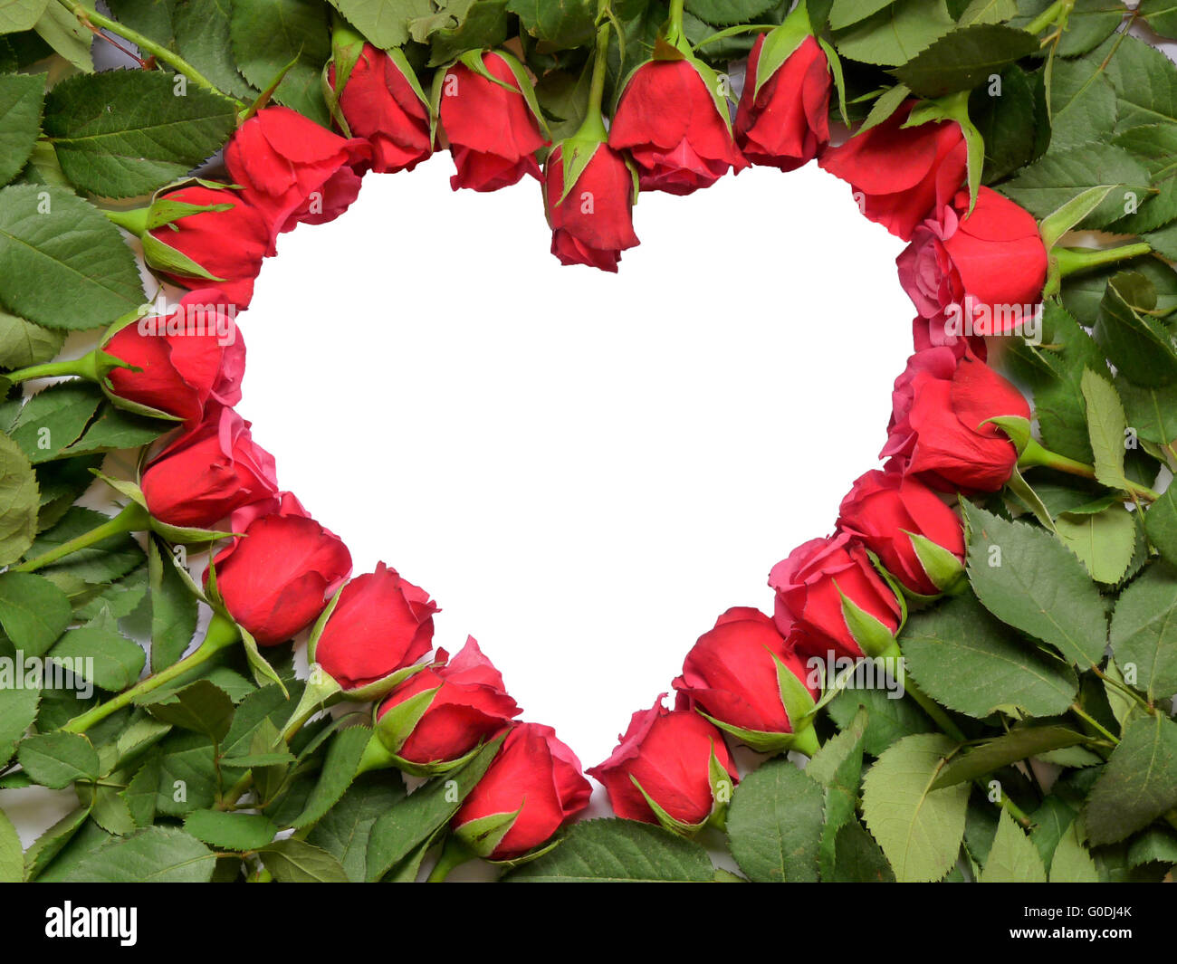 Herz aus roten Rosen auf Stamm Stockfoto